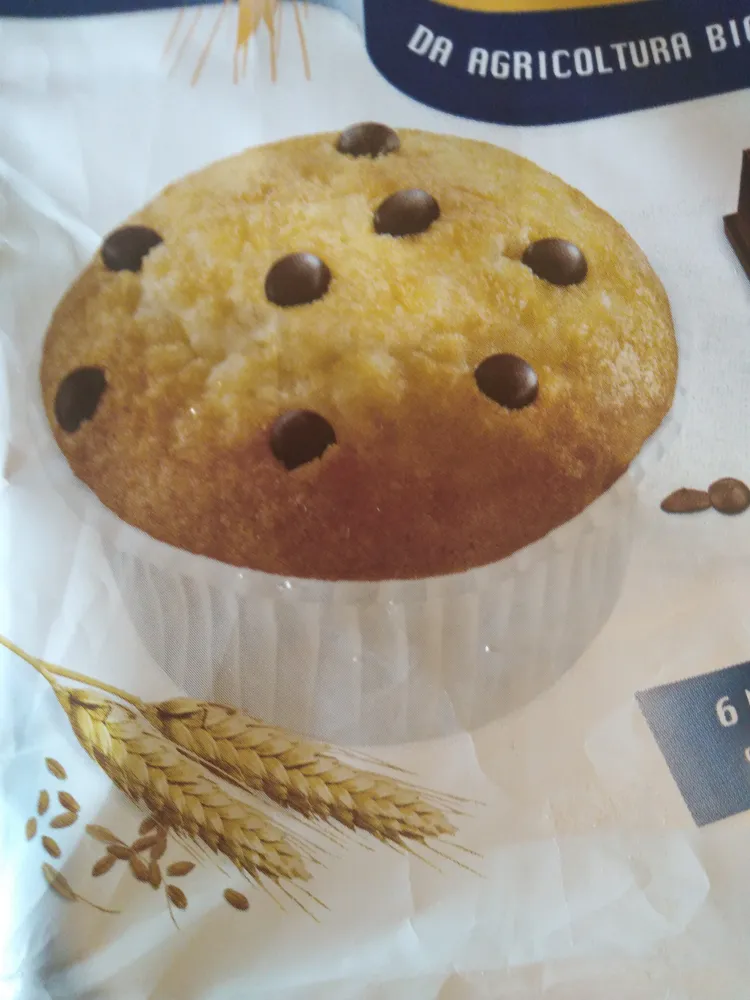 Muffin Con Gocce Di Cioccolato