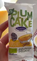 Plum cake