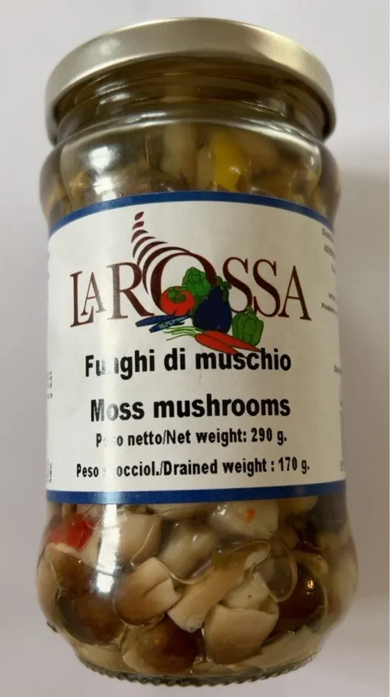 Funghi di muschio