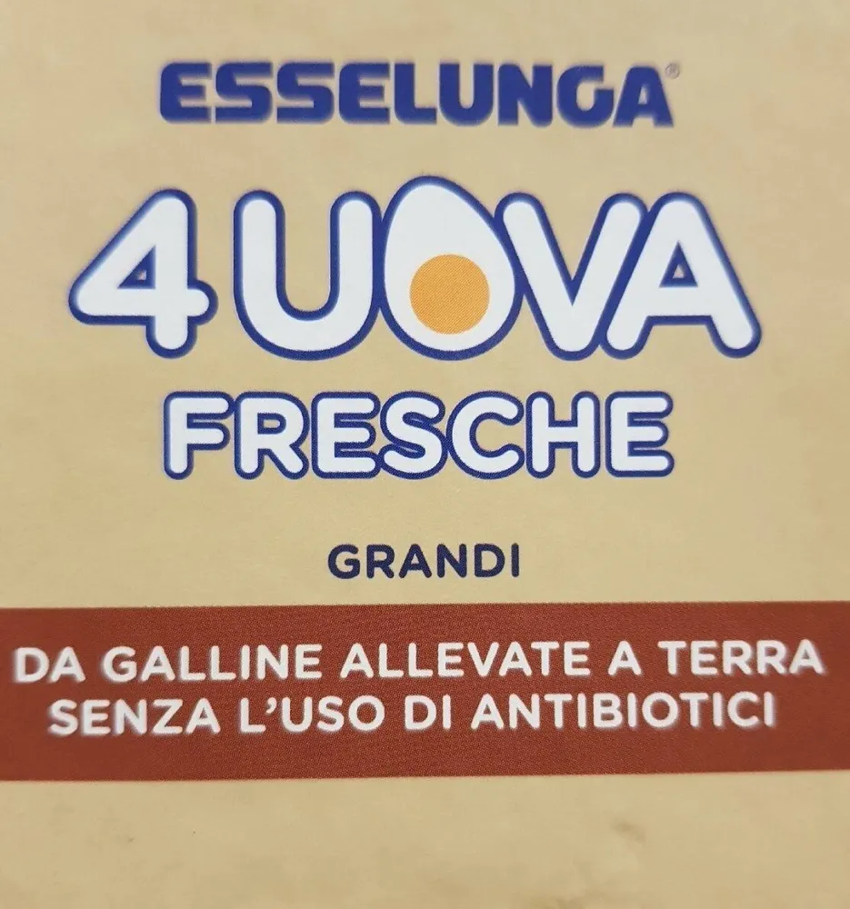 Uova fresche grandi - NO Antibiotici