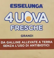 Uova fresche grandi - NO Antibiotici
