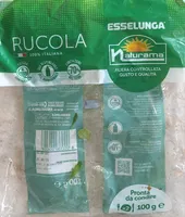 Rucola