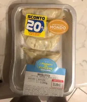 Ravioli Gyoza