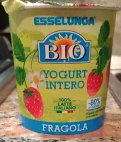Yogurt Intero Fragola Bio