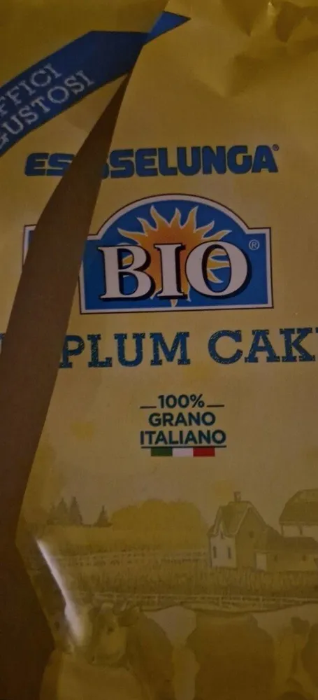 Plum Cake