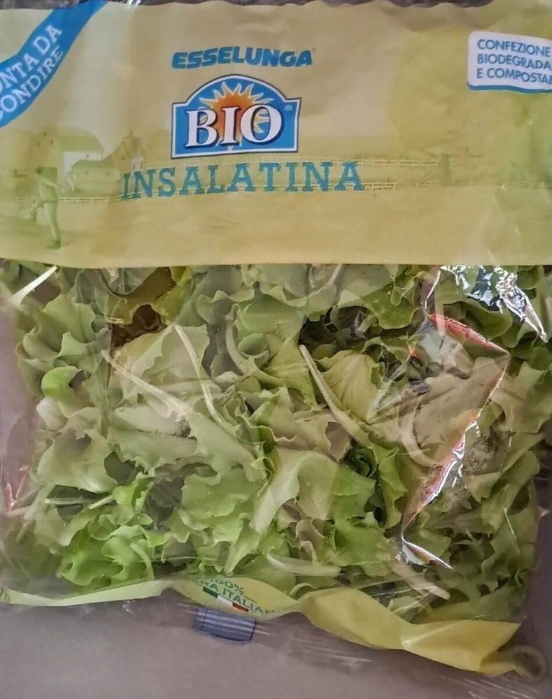 Insalatina