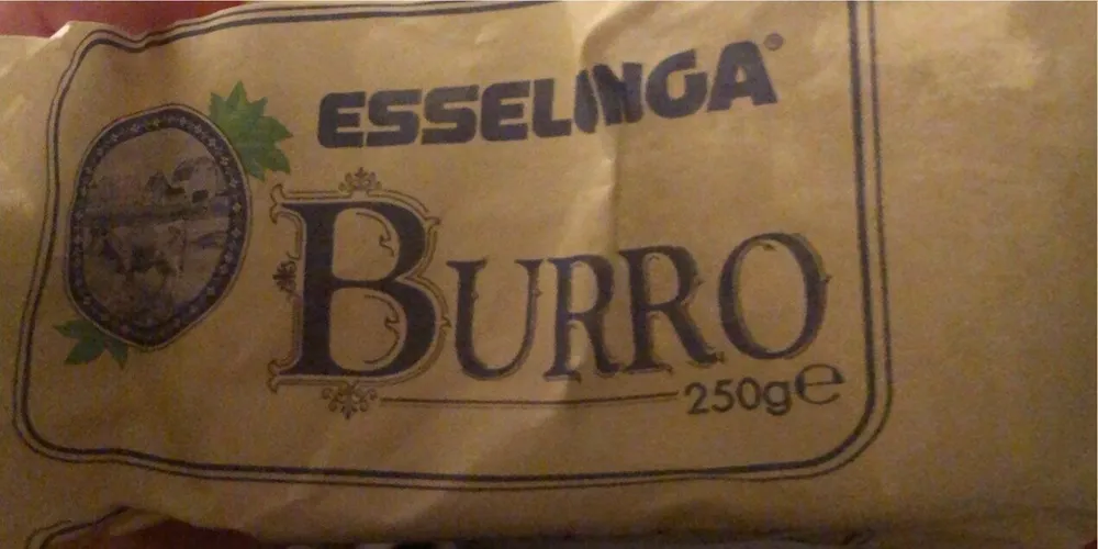 Burro