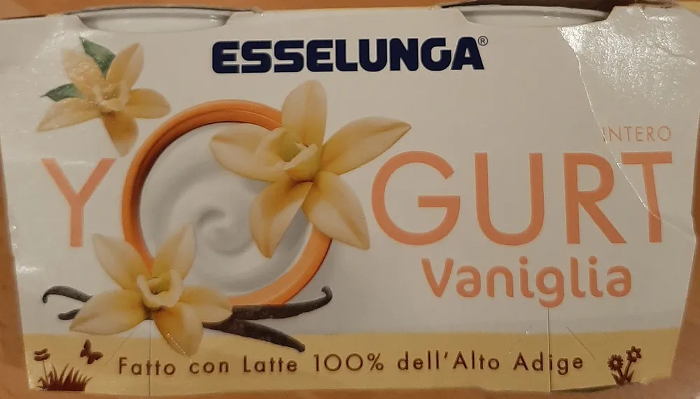 Yogurt intero alla vaniglia