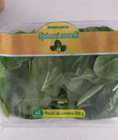 spinaci novelli