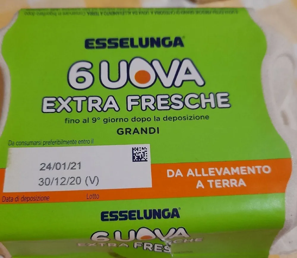 Uova