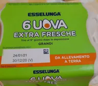 Uova