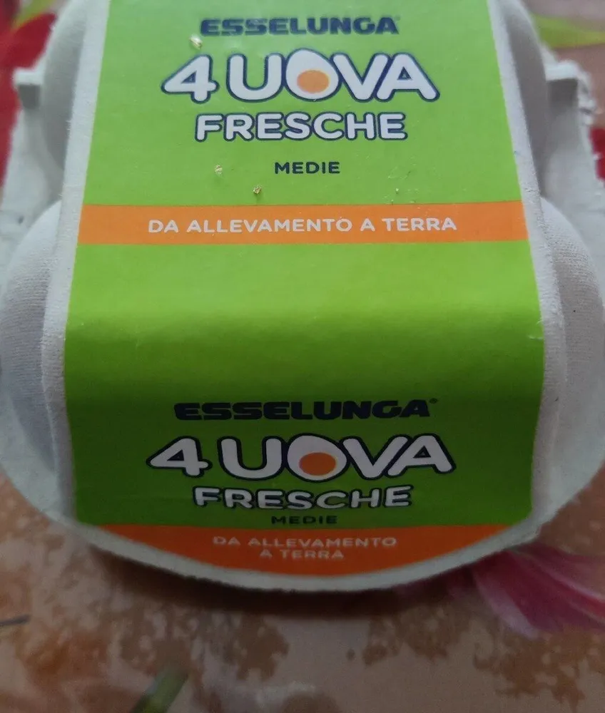 4 Uova Fresche Medie
