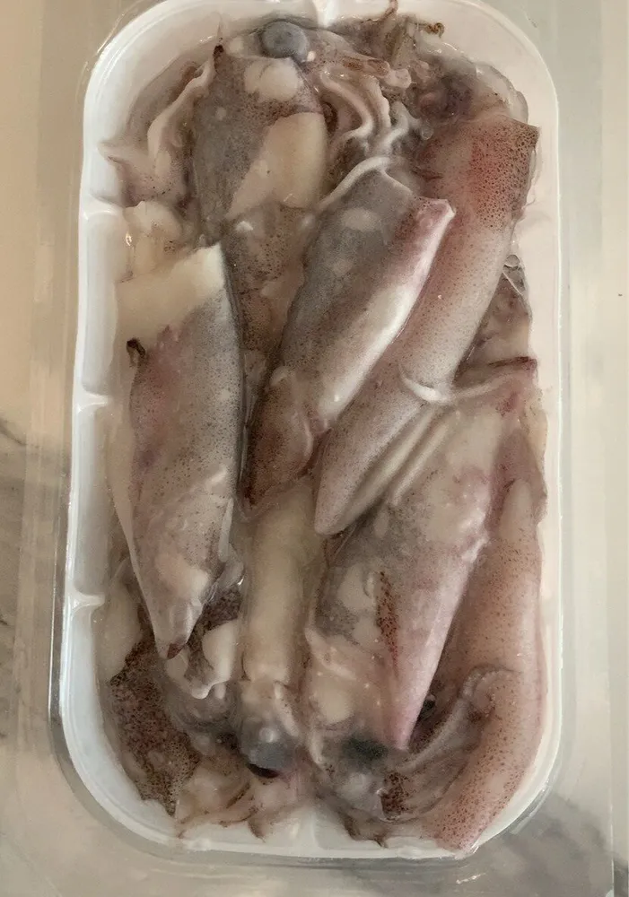 Calamari patagonici