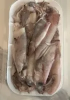 Calamari patagonici
