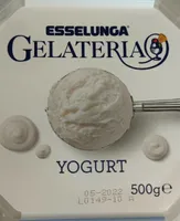 Gelato yogurt gelateria