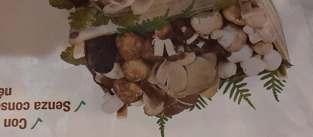 Misto funghi