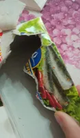 Sardine