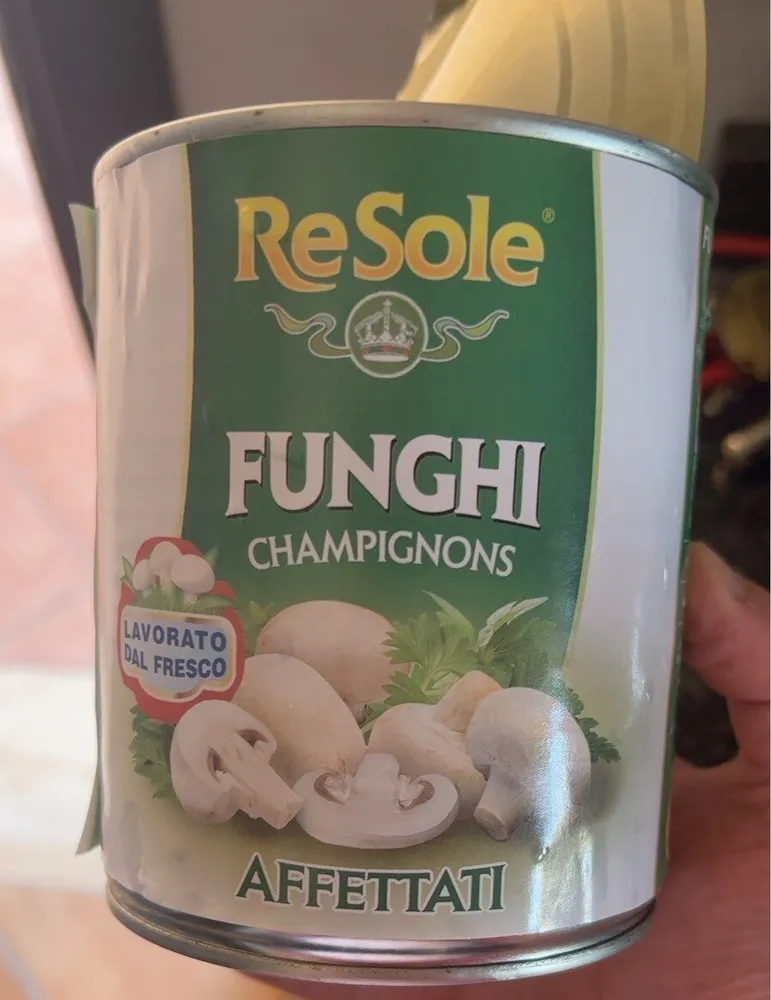 Funghi champignons
