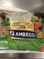 Mozzarella di bufala