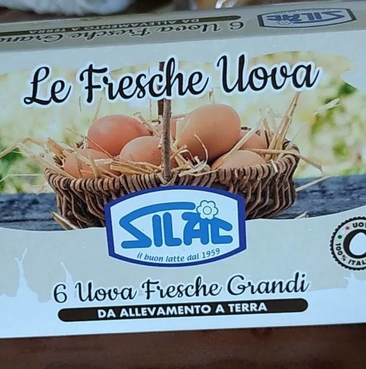 Uova