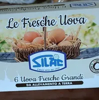 Uova