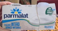 Yogurt intero bianco naturale