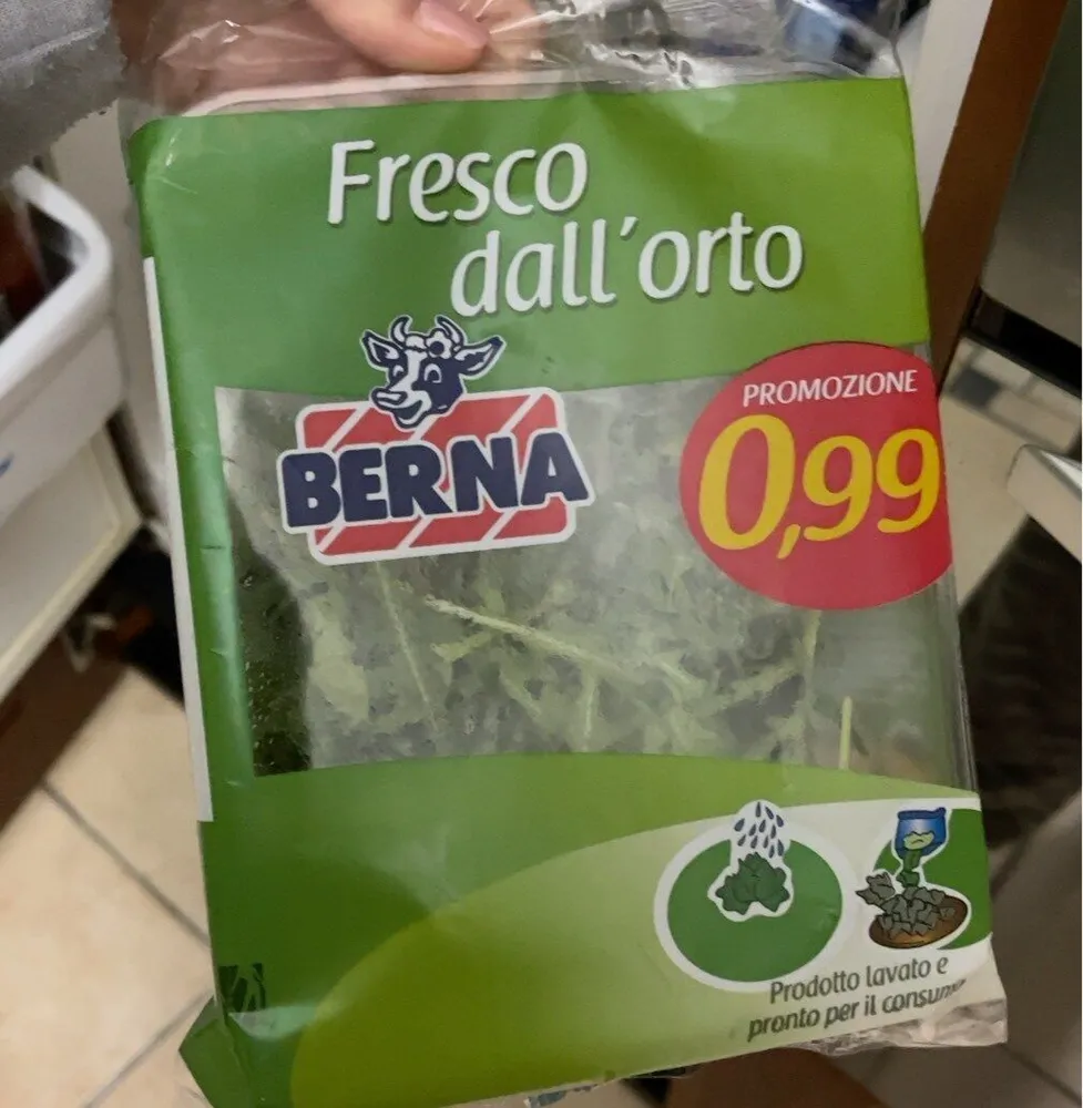 Rucola - fresca dall’orto