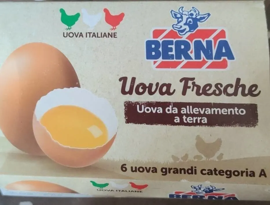 Uova fresche