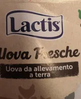 Uova fresche da allevamento da terra
