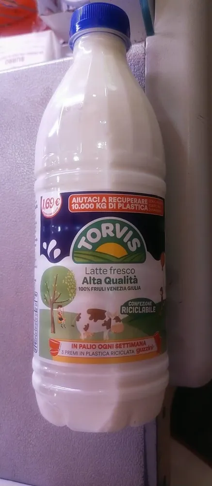 Latte torvis