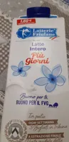 Latte