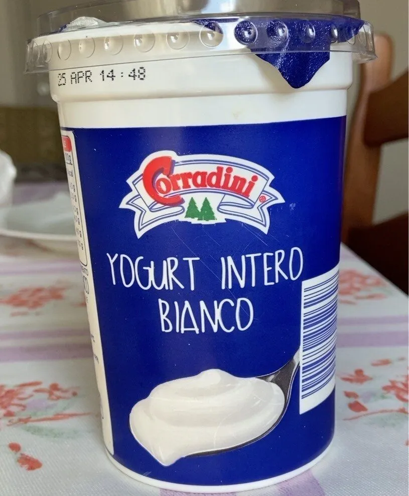 Yogurt intero bianco