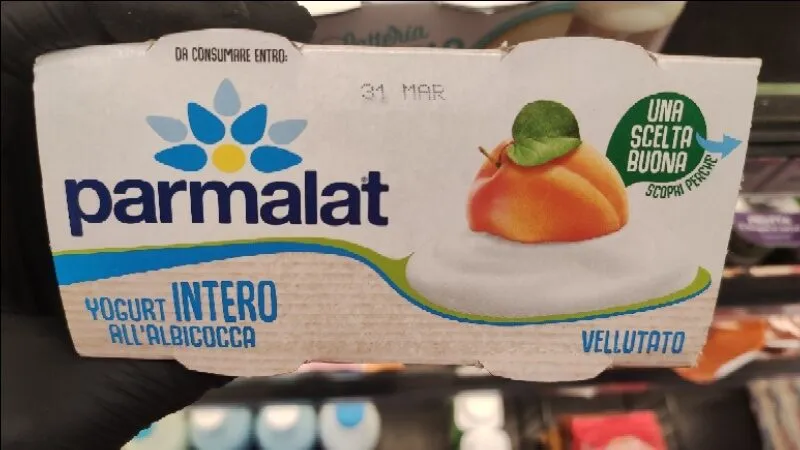 Yogurt intero albicocca
