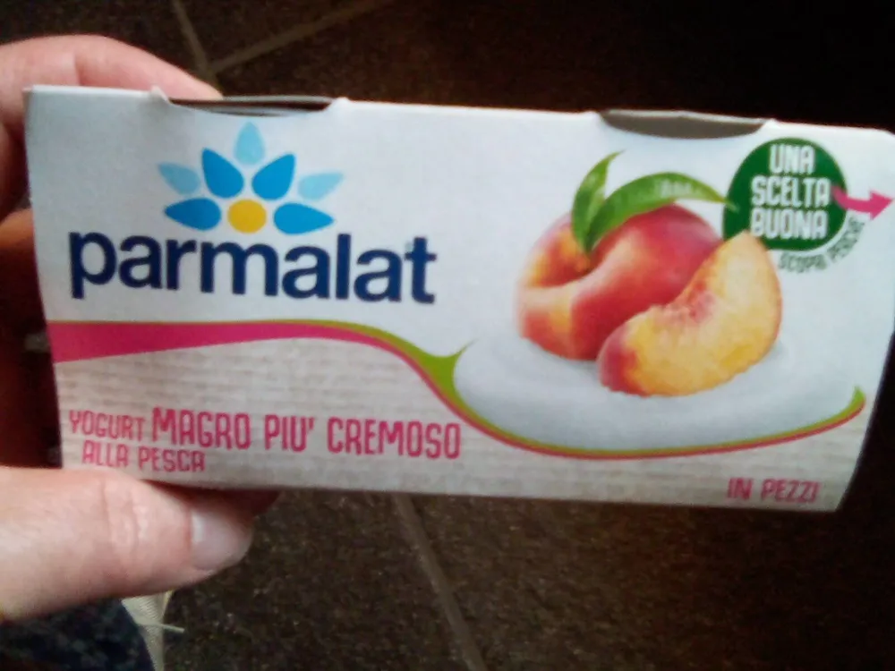 Yogurt magro cremoso
