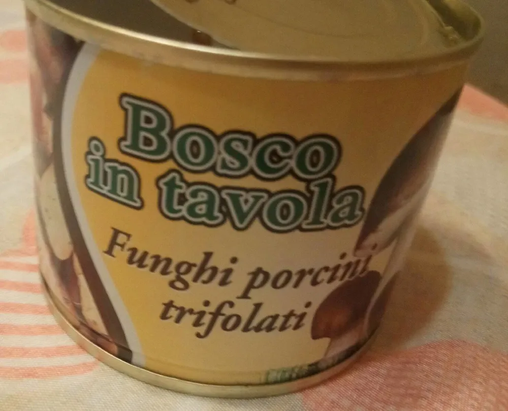 Funghi porcini