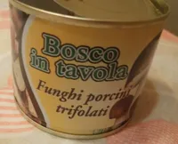 Funghi porcini