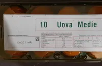 Uova medie