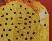 Panettone