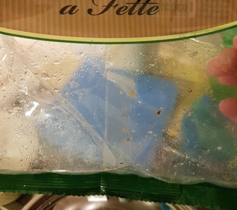 Funghi porcini a fette