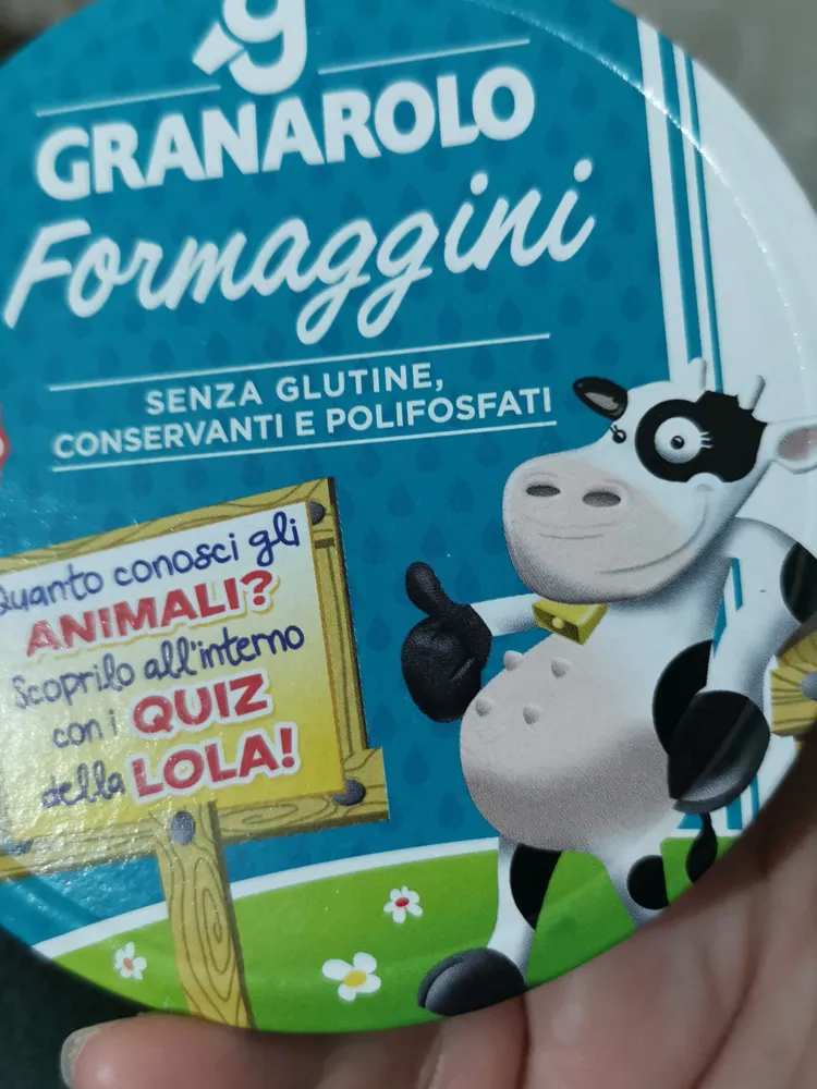 Formaggini