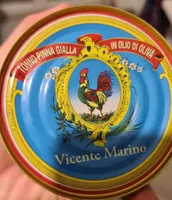 Tonno pinna gialla