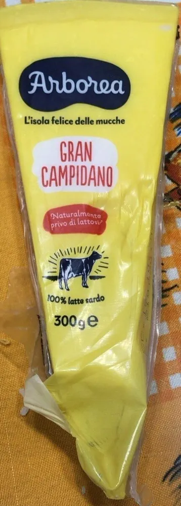 Gran campidano