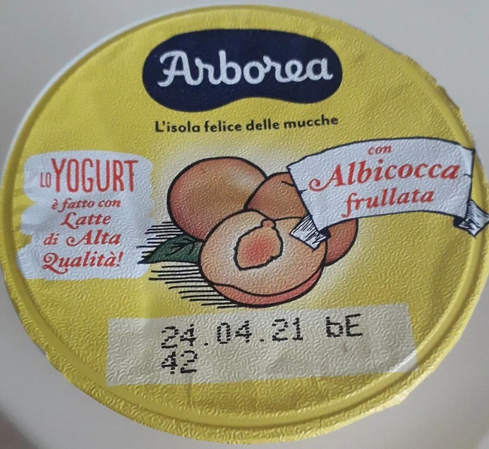 Yogurt con albicocca frullata