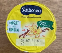 Yogurt alla vaniglia
