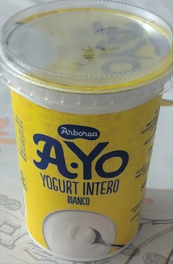 Yogurt bianco intero