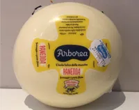 Panedda