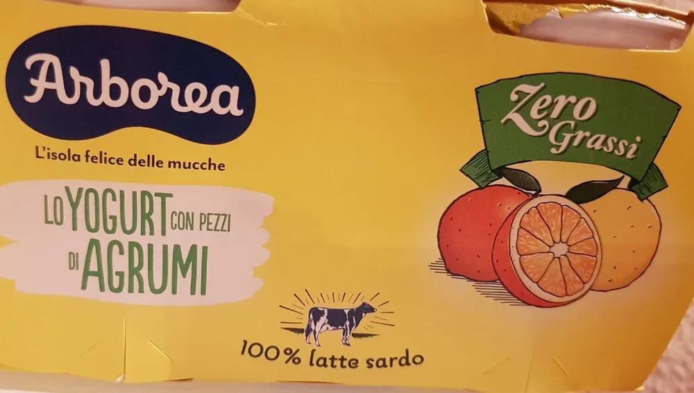 Lo yogourt con pezzi di agrumi