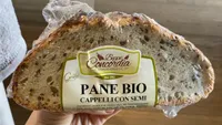 Pane bio cappelli con semi