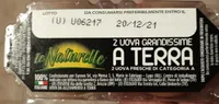 2 UOVA GRANDISSIME A TERRA