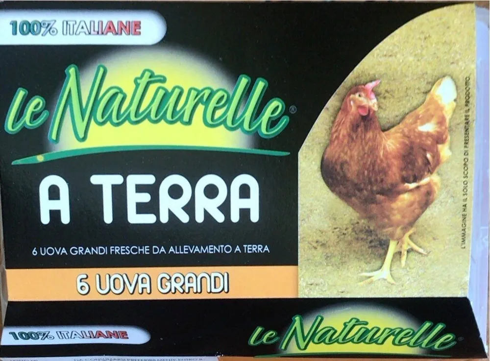 6 Uova Grandi